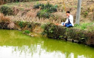 油菜大师钓鱼怎么样，油菜大师钓鱼怎么样啊