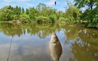 刮风天气钓鱼怎么样？刮风天气钓鱼怎么样好钓吗？