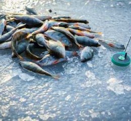 水面除冰钓鱼怎么样，水面除冰钓鱼怎么样好用吗！