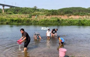 下河钓鱼怎么样，下河抓鱼什么意思