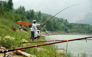 阳光岛钓鱼怎么样，阳光岛钓鱼怎么样好钓吗？