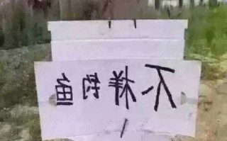 旋子直播钓鱼怎么样？旋子直播钓鱼怎么样啊？