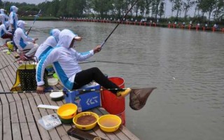 夏季坑里钓鱼怎么样，夏天黑坑钓什么位置呢？