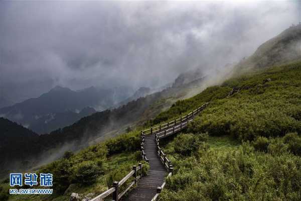 神农架冷弯成型设备，神农架凉风垭景点？-第2张图片-平阳县乌魄百货商行