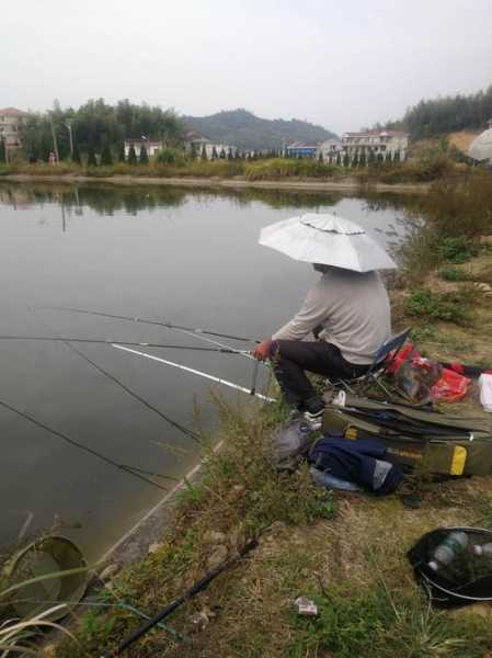 龙山断桥钓鱼怎么样，龙山桥的资料？-第2张图片-平阳县乌魄百货商行