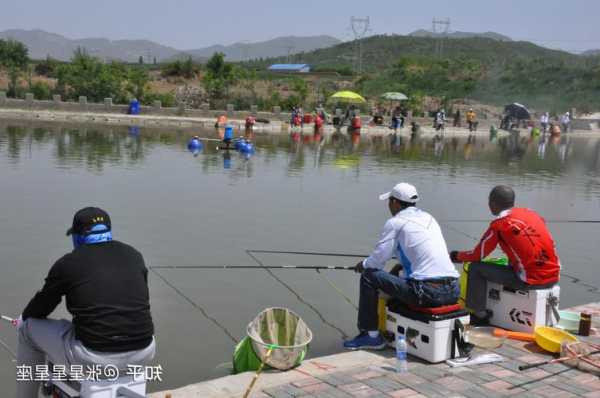 小熙钓鱼怎么样？小熙钓鱼怎么样知乎？-第3张图片-平阳县乌魄百货商行