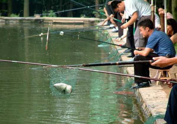 球场钓鱼战术怎么样？球场钓鱼战术怎么样好用吗？-第1张图片-平阳县乌魄百货商行