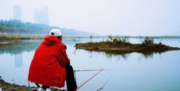 钓鱼养鱼的人怎么样？钓鱼能养成什么性格？-第3张图片-平阳县乌魄百货商行