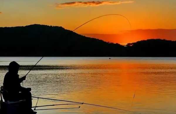 夏天白天钓鱼怎么样，夏天白天钓鱼怎么样呢？-第3张图片-平阳县乌魄百货商行