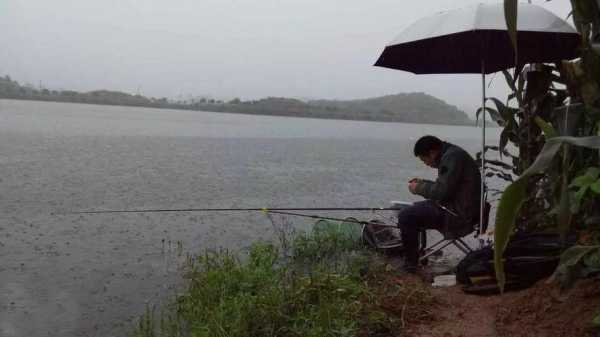 白天雨后钓鱼怎么样，白天下雨能钓什么！-第3张图片-平阳县乌魄百货商行