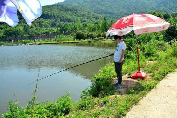 碧水钓鱼效果怎么样，碧水钓鱼效果怎么样啊！-第1张图片-平阳县乌魄百货商行