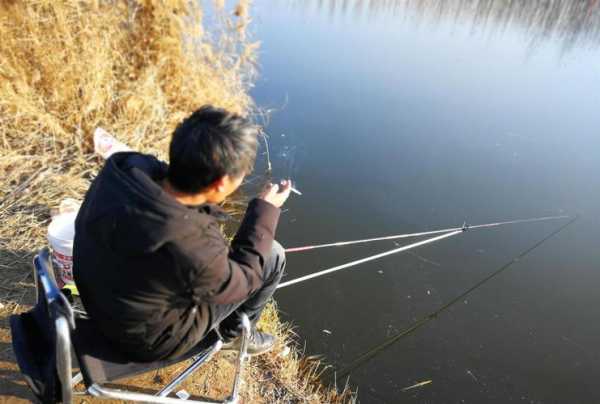 钓鱼高手水平怎么样？钓鱼高手叫什么？-第1张图片-平阳县乌魄百货商行