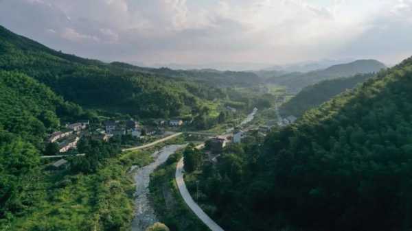 茂林水口钓鱼怎么样，茂林河林场？-第1张图片-平阳县乌魄百货商行