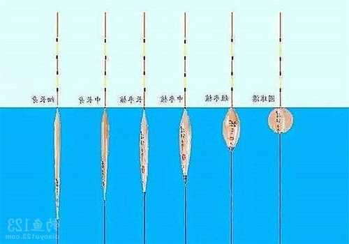 钓鱼怎么样选漂，钓鱼如何选择漂！-第1张图片-平阳县乌魄百货商行