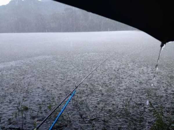 大师雨天钓鱼怎么样，大师级钓鱼去哪钓！-第3张图片-平阳县乌魄百货商行