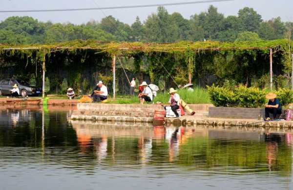 木兰钓鱼场怎么样？木兰湖垂钓基地价格？-第2张图片-平阳县乌魄百货商行