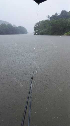 雨天钓鱼行情怎么样，雨天钓鱼行情怎么样知乎-第1张图片-平阳县乌魄百货商行