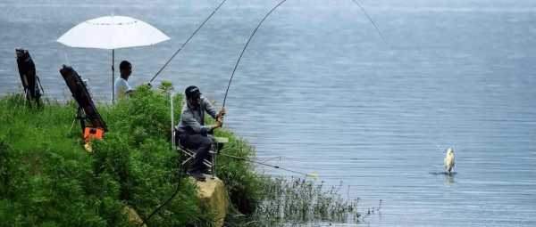 夏天雨天钓鱼怎么样，夏天雨天钓鱼钓深还是钓浅！-第1张图片-平阳县乌魄百货商行