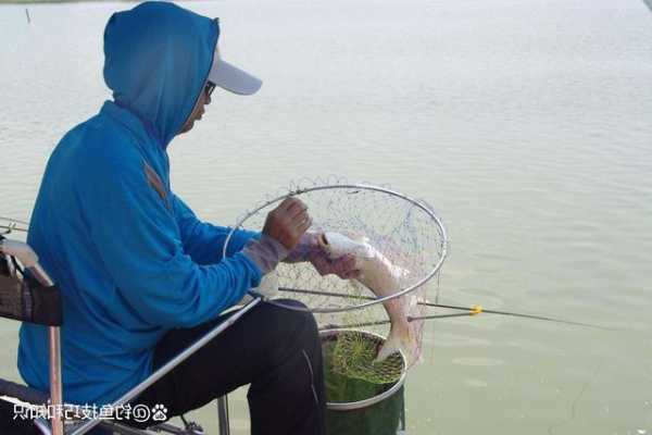 香饵冬季钓鱼怎么样，香饵冬季钓鱼怎么样好钓吗-第2张图片-平阳县乌魄百货商行