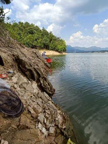 阳西钓鱼山庄怎么样，阳西县附近哪儿有河钓鱼！-第3张图片-平阳县乌魄百货商行