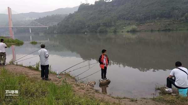 阳西钓鱼山庄怎么样，阳西县附近哪儿有河钓鱼！-第1张图片-平阳县乌魄百货商行