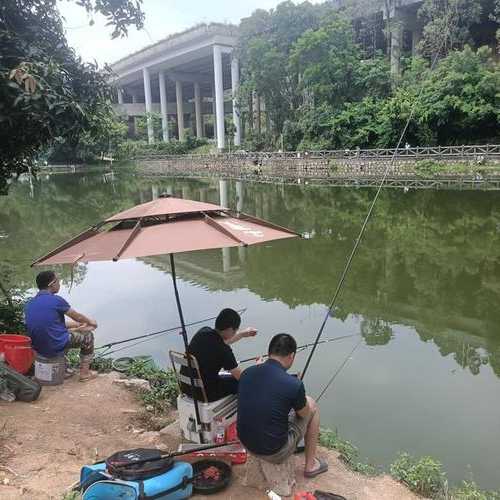 石化大湖钓鱼怎么样，石化大道附近钓鱼的地方？-第3张图片-平阳县乌魄百货商行