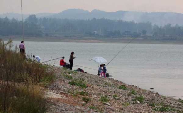 东莞活水钓鱼怎么样，东莞水道钓鱼！-第2张图片-平阳县乌魄百货商行