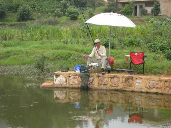 夏日鱼塘钓鱼怎么样？夏天钓鱼塘用什么诱饵好？-第3张图片-平阳县乌魄百货商行