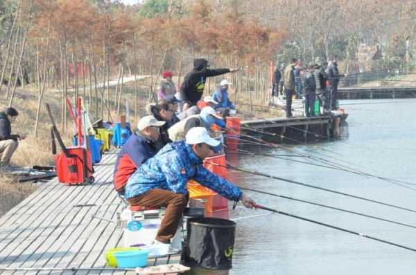 泰州新人钓鱼怎么样？泰州新人钓鱼怎么样啊？-第3张图片-平阳县乌魄百货商行