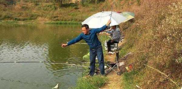 霜降前后钓鱼怎么样？霜降前后如何钓鲤鱼？-第1张图片-平阳县乌魄百货商行