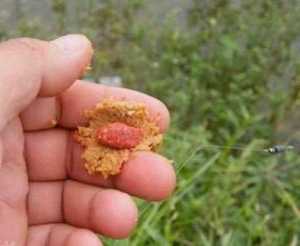 面食鱼饵钓鱼怎么样，面食钓饵制作方法实例！-第1张图片-平阳县乌魄百货商行