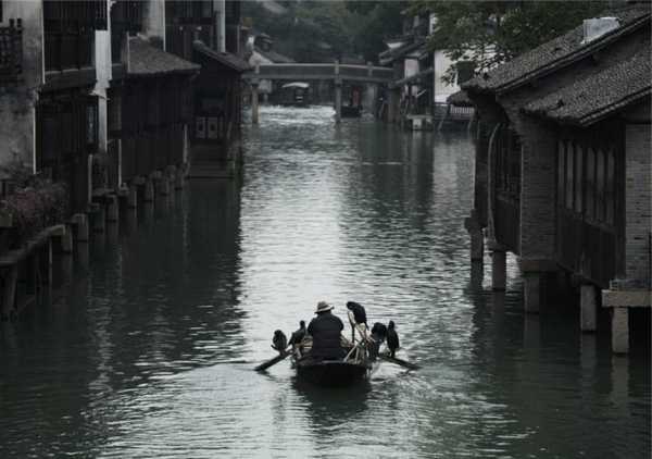 船夫划船钓鱼怎么样，船夫划桨图片-第2张图片-平阳县乌魄百货商行