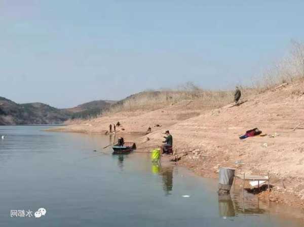 丹江入口钓鱼怎么样，丹江口水库野钓地点-第3张图片-平阳县乌魄百货商行