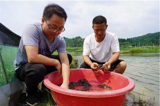 咸阳水产钓鱼怎么样？咸阳水产钓鱼怎么样啊？-第1张图片-平阳县乌魄百货商行