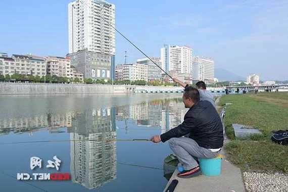 饭后散步钓鱼怎么样，饭后散步好还是不好？-第3张图片-平阳县乌魄百货商行