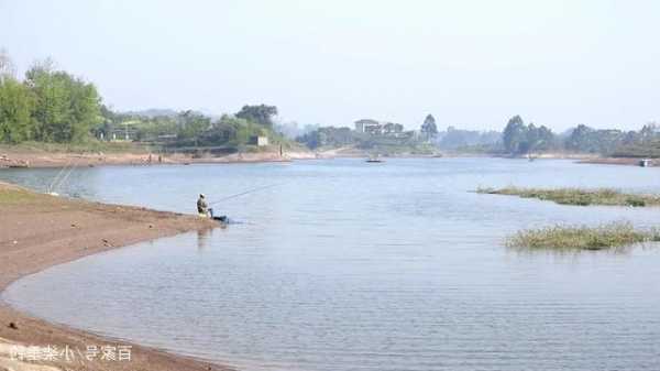 洪湖钓场钓鱼怎么样，洪湖钓场钓鱼怎么样啊？-第1张图片-平阳县乌魄百货商行