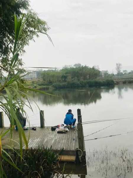 洪湖钓场钓鱼怎么样，洪湖钓场钓鱼怎么样啊？-第2张图片-平阳县乌魄百货商行