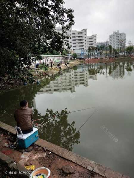 光辉钓鱼场怎么样，光辉水库？-第1张图片-平阳县乌魄百货商行