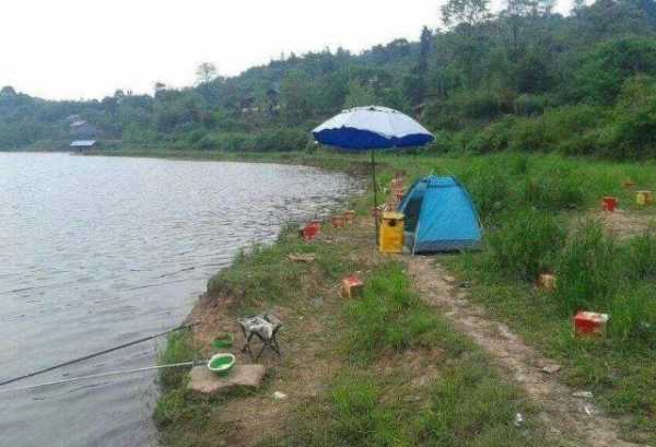 怎么样在水塘钓鱼，怎么样在水塘钓鱼视频-第1张图片-平阳县乌魄百货商行