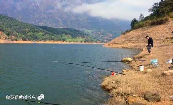 怎么样在水塘钓鱼，怎么样在水塘钓鱼视频-第2张图片-平阳县乌魄百货商行