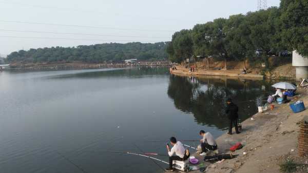 水库营地钓鱼怎么样，水库钓场？-第3张图片-平阳县乌魄百货商行