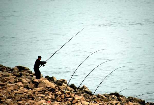 湄洲湾北岸钓鱼怎么样，湄洲湾北岸钓鱼怎么样啊！-第1张图片-平阳县乌魄百货商行