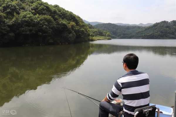 南头野餐钓鱼怎么样？南头野餐钓鱼怎么样好玩吗？-第2张图片-平阳县乌魄百货商行