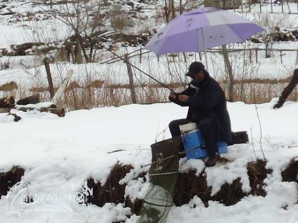 雪后冰钓鱼怎么样，雪后的冰？-第3张图片-平阳县乌魄百货商行