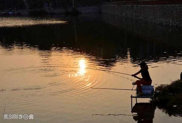 仲秋晚上钓鱼怎么样？，仲秋夜钓！-第2张图片-平阳县乌魄百货商行