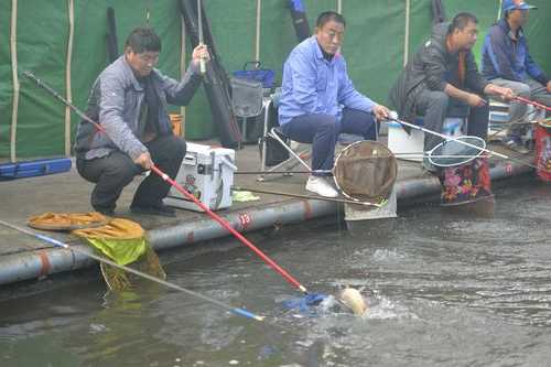 钓鱼怎么样预防中暑？钓鱼如何防蚂蚁？-第1张图片-平阳县乌魄百货商行