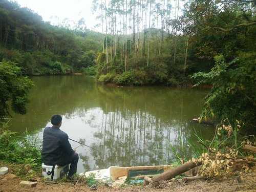 山塘农场钓鱼怎么样，山塘水库可以钓鱼吗！-第2张图片-平阳县乌魄百货商行