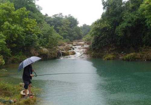 清明下雨钓鱼怎么样？清明下小雨好钓鱼吗？-第3张图片-平阳县乌魄百货商行