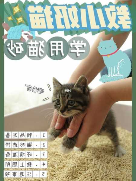 钓鱼猫猫砂怎么样，钓鱼猫猫砂怎么样好用吗！-第3张图片-平阳县乌魄百货商行