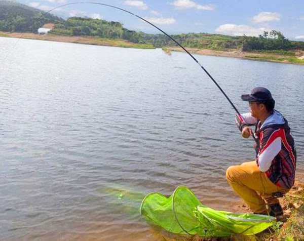 阳光岛钓鱼怎么样，阳光岛钓鱼怎么样好钓吗？-第3张图片-平阳县乌魄百货商行